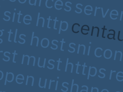 Lead image for HTTP/2 and TLS Server Name Indication