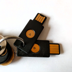 A pair of Yubikeys